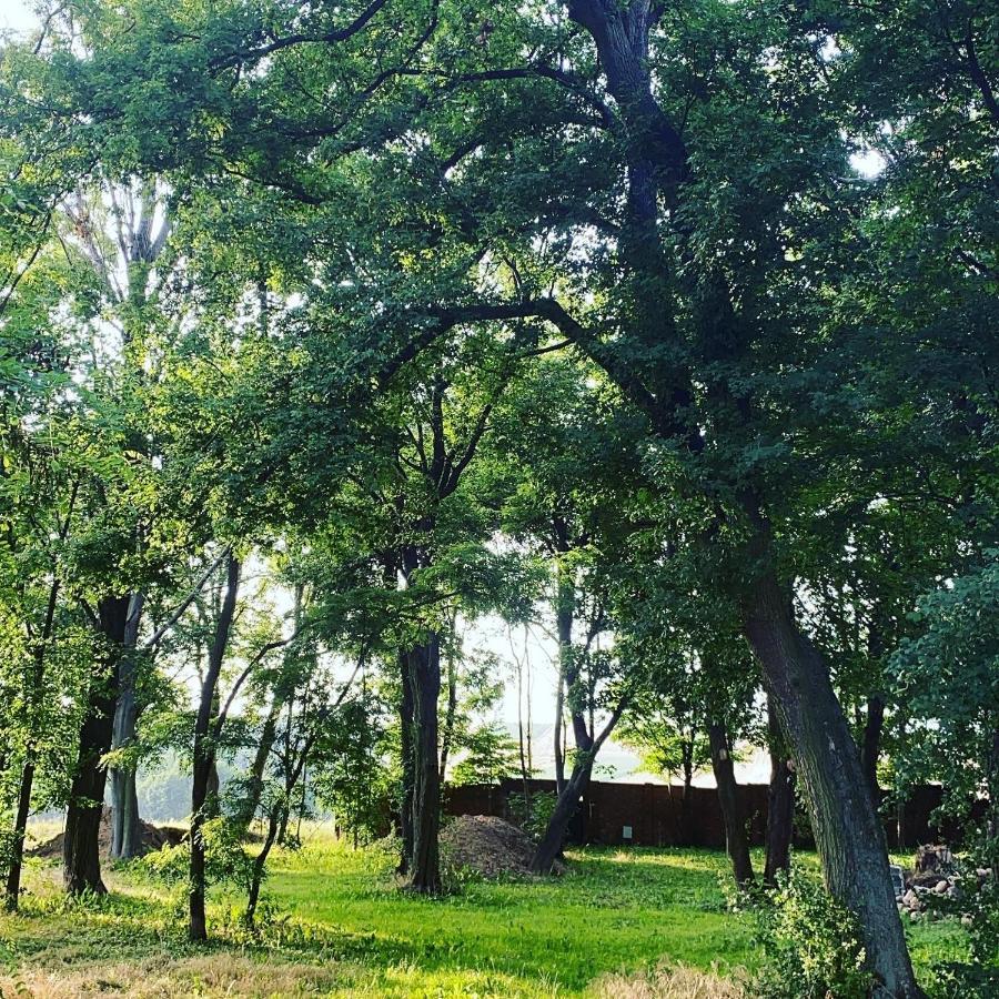 Palac Osowo Gostynskie Экстерьер фото